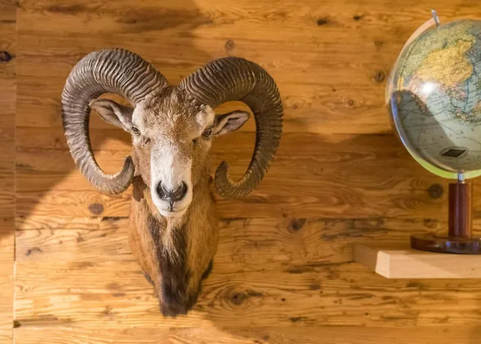 Alpenwiese * Oberstdorf